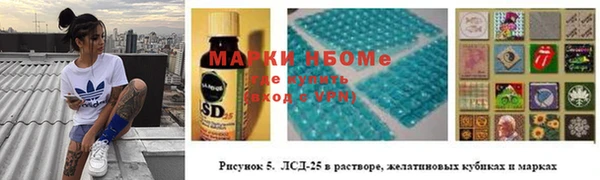 шишки Алексин