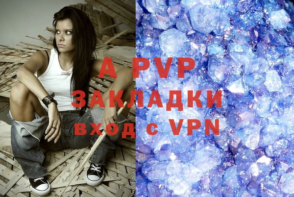 шишки Алексин